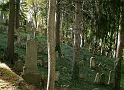 židovský cintorín v Třebíči